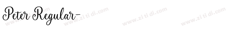 Peter Regular字体转换